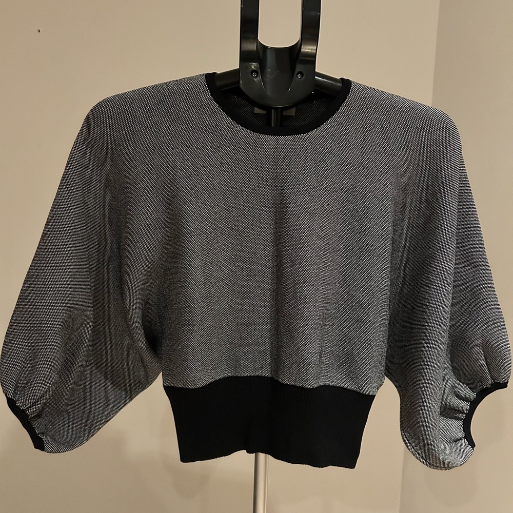 Babaton Gray and Black Blouse